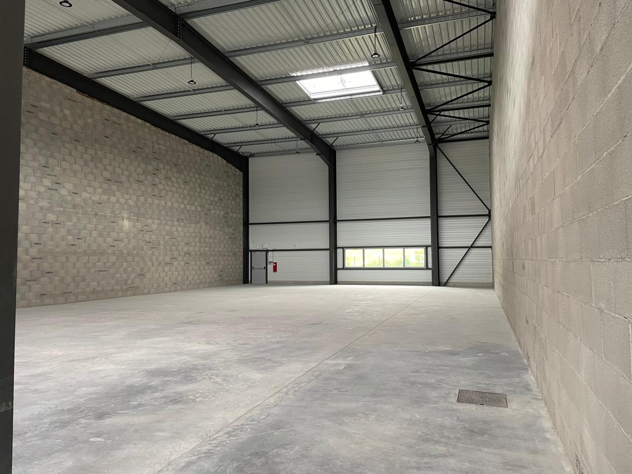 Local d'activité Dagneux 2809m² Location local d'activité Dagneux Ain OLACT2425405 6